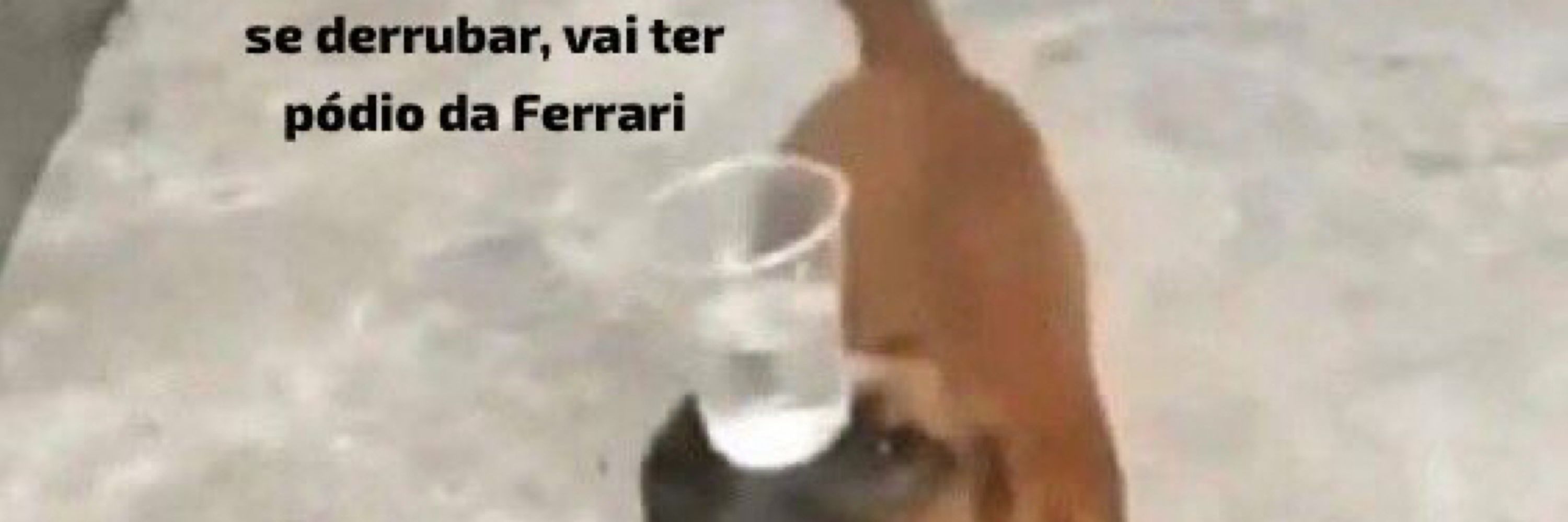 Bea Fonseca 