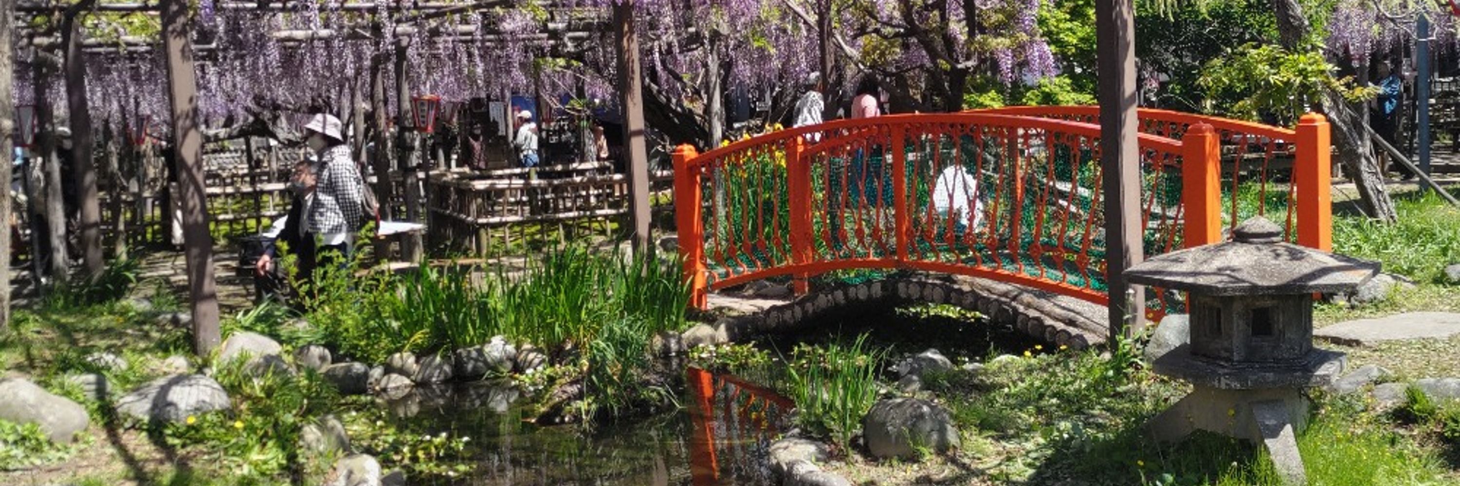 さのつき💜性格闇鍋ピーポー