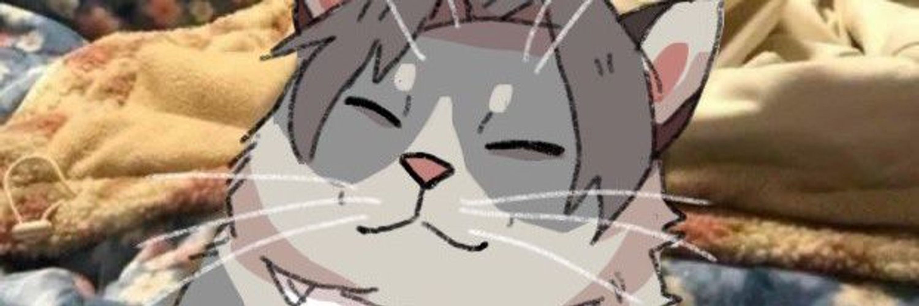 ✨ 🌙