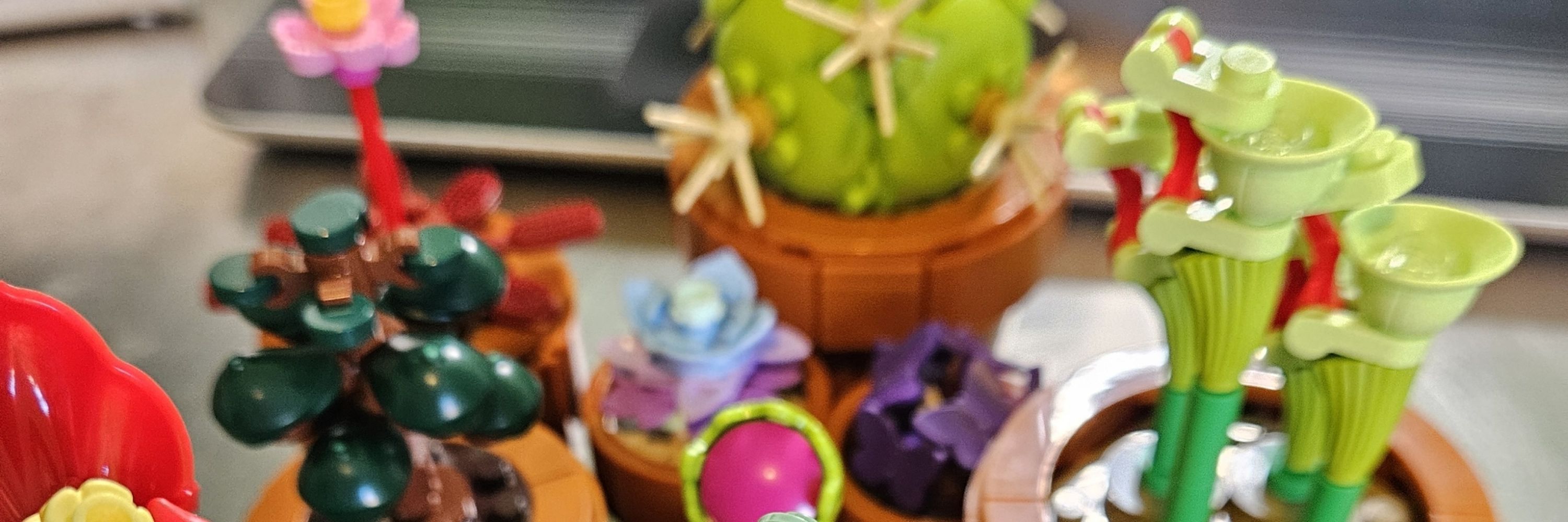 Sorta/Kinda