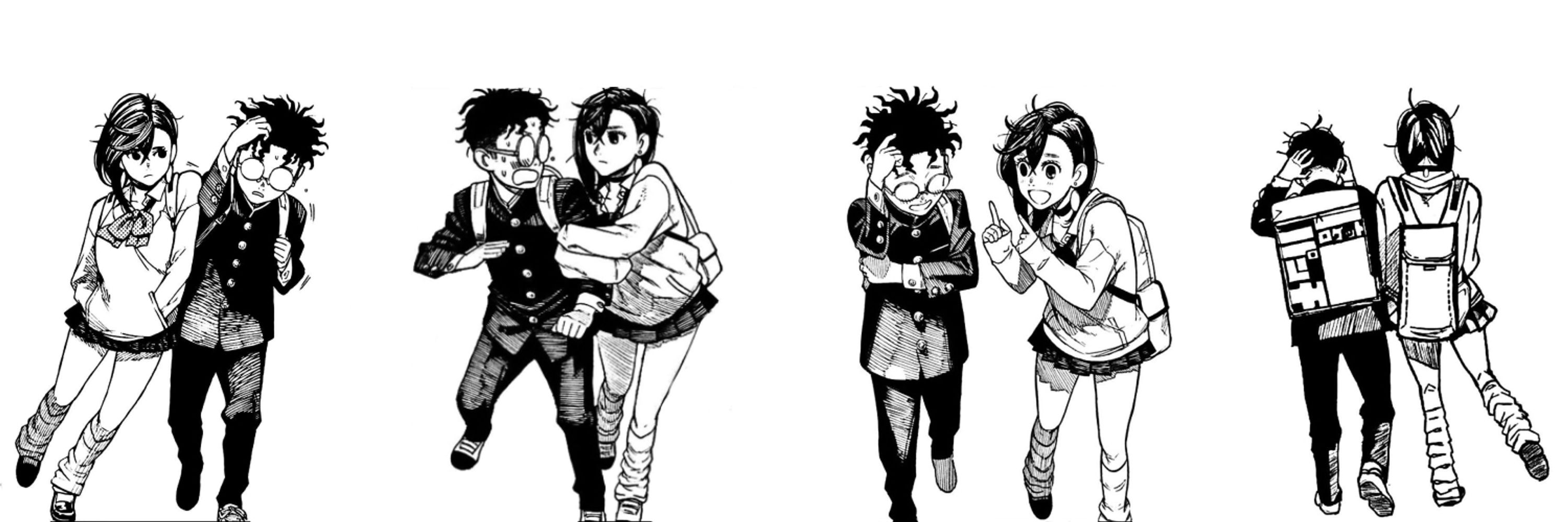 Hide