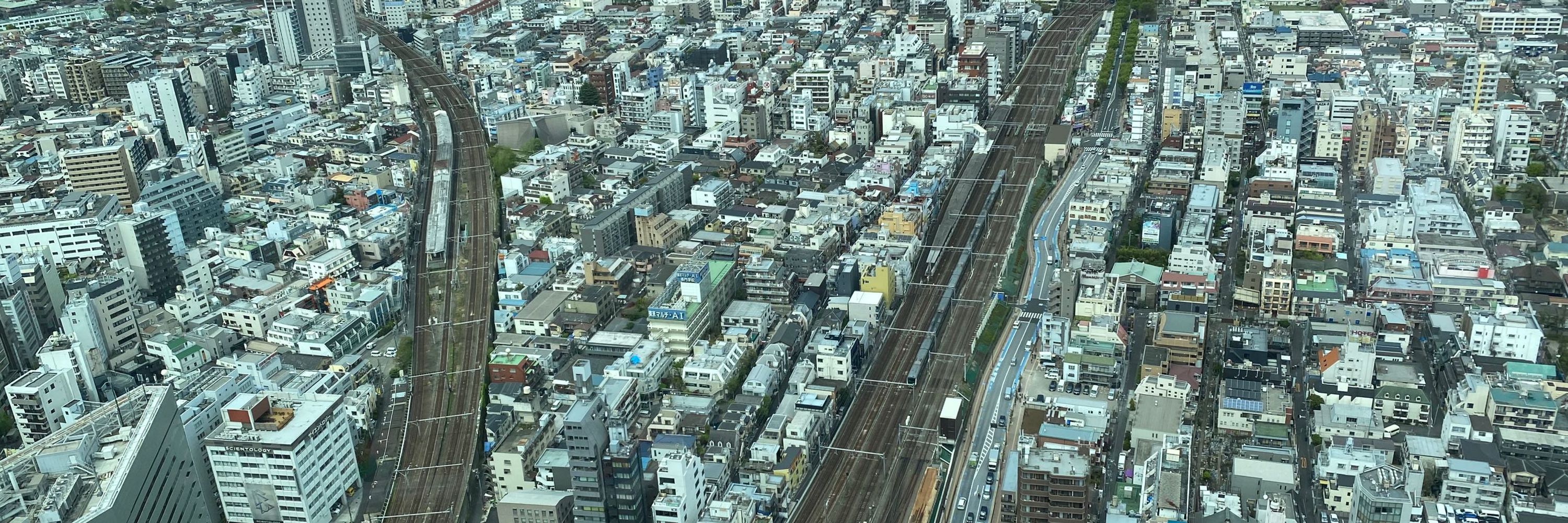hatoco/ハトコ
