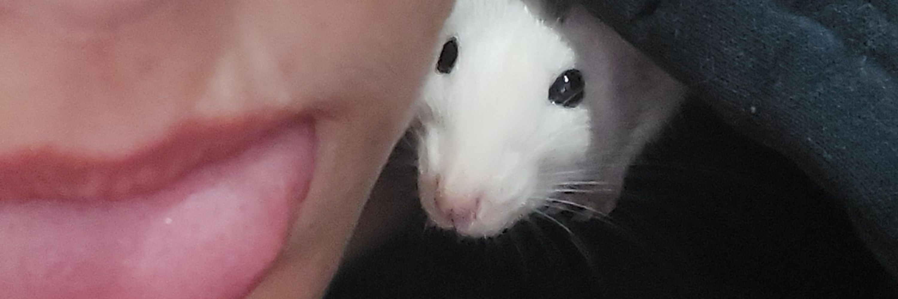 Jeff