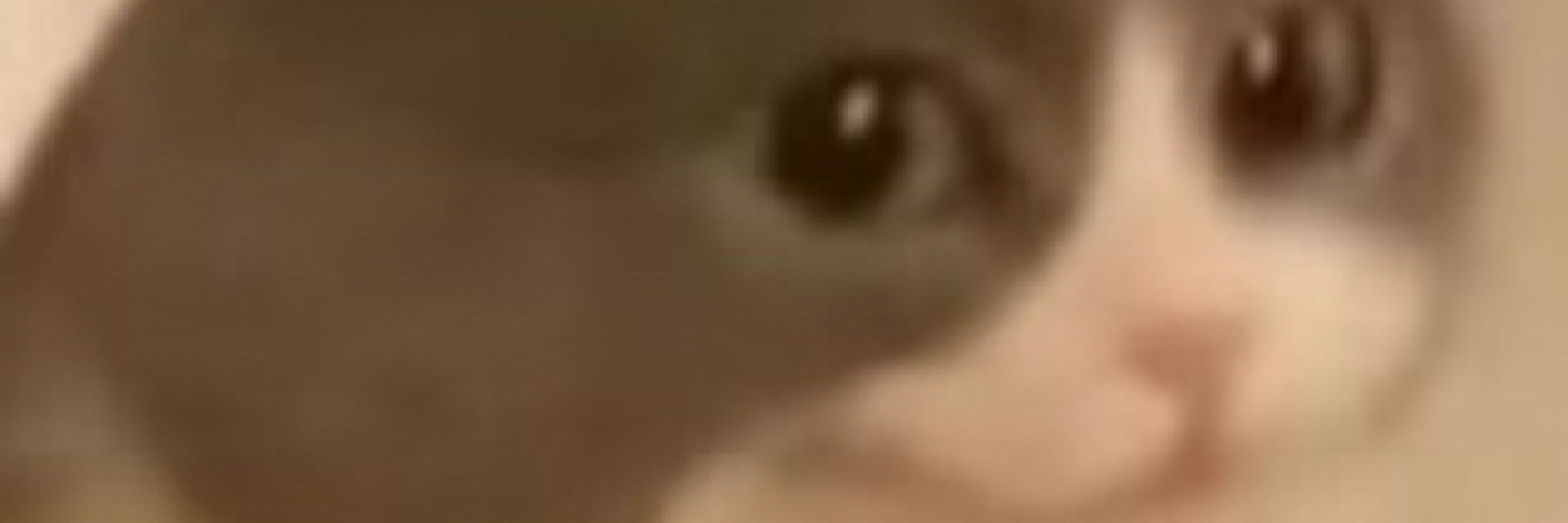 Miru