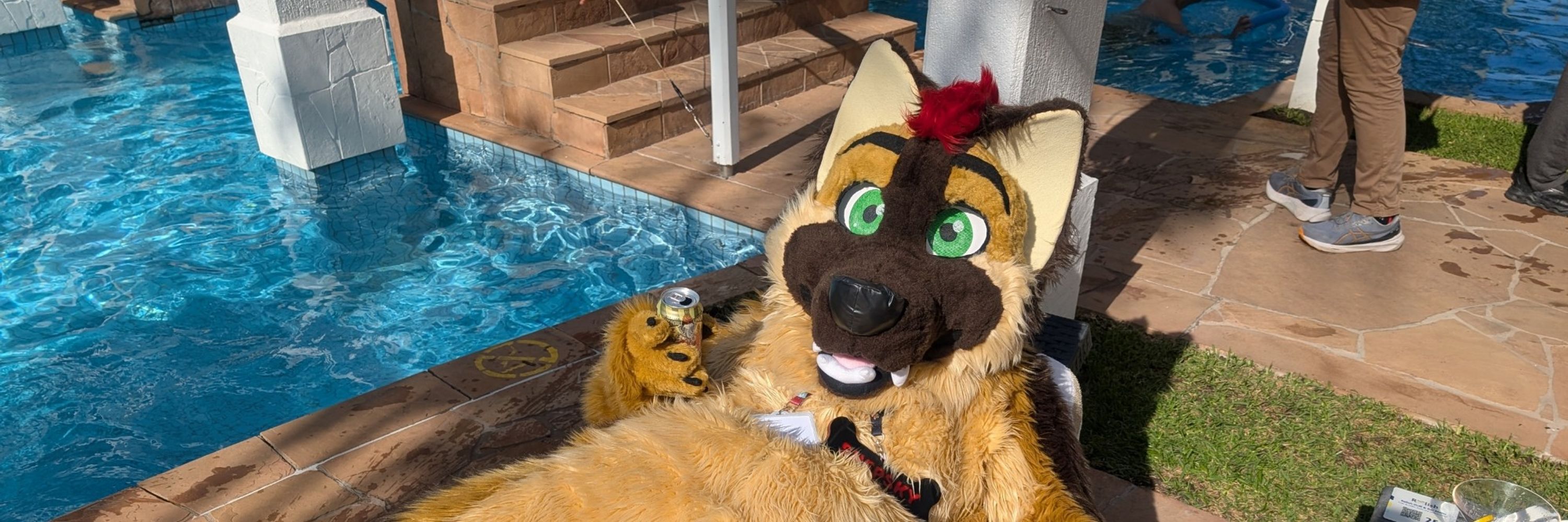 🐾Shepsky