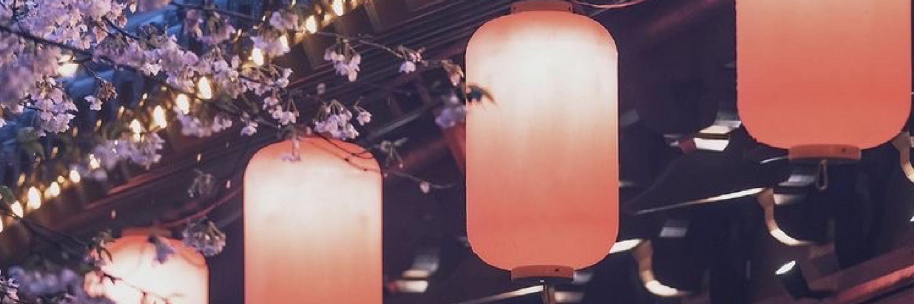 ⋆✦⋆ Audrey // Auds