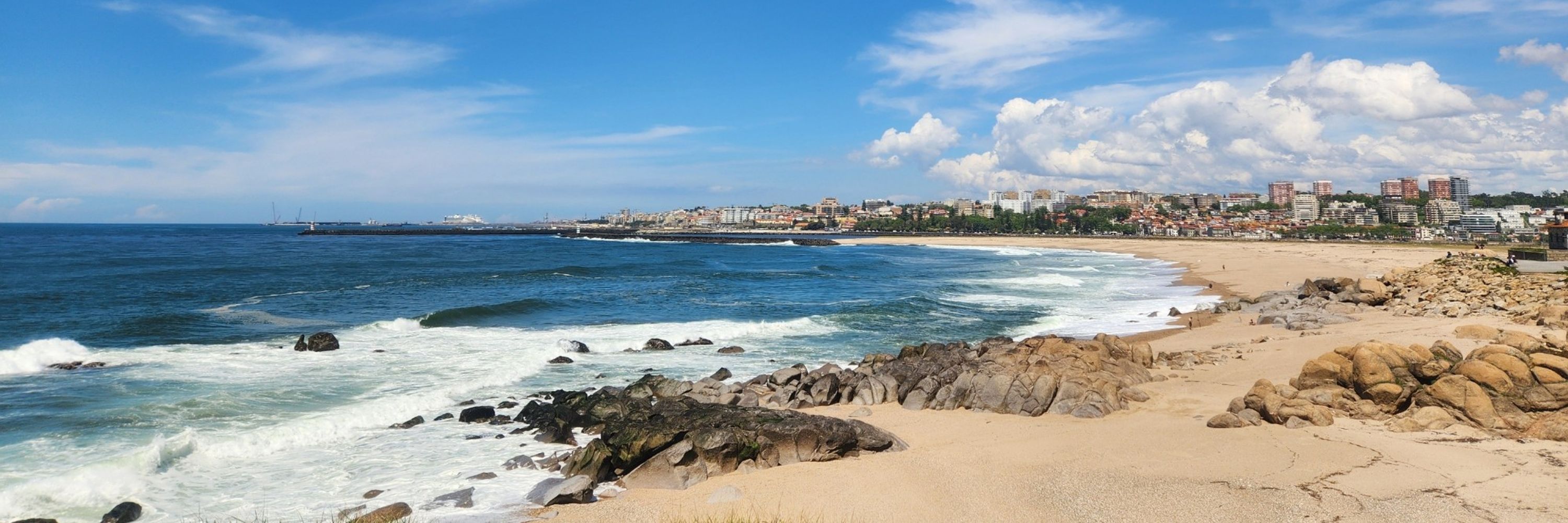 Passarinhos City Nature