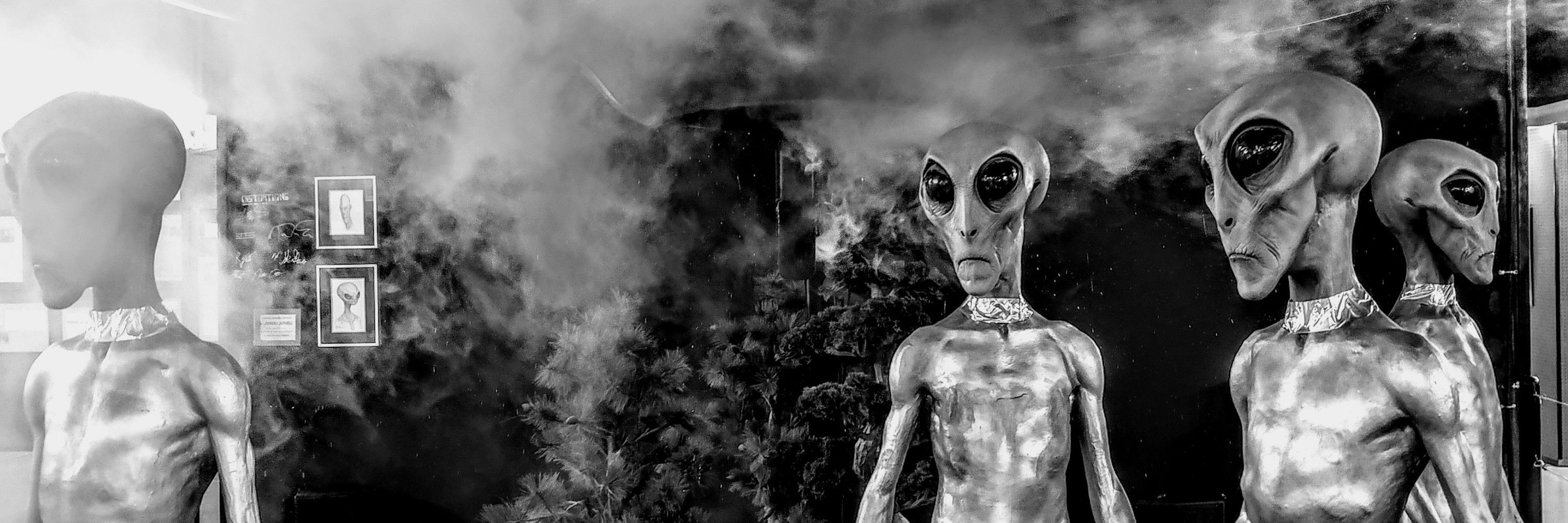 jen 🛸