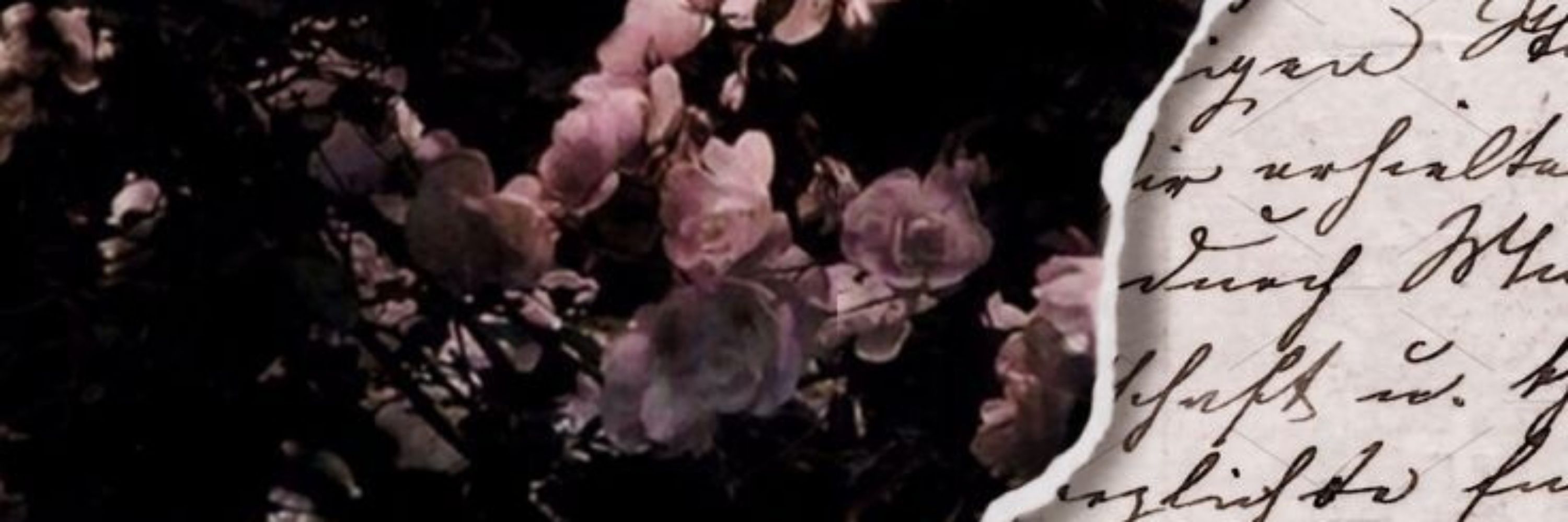 ( ✶' ) жентя : rêves