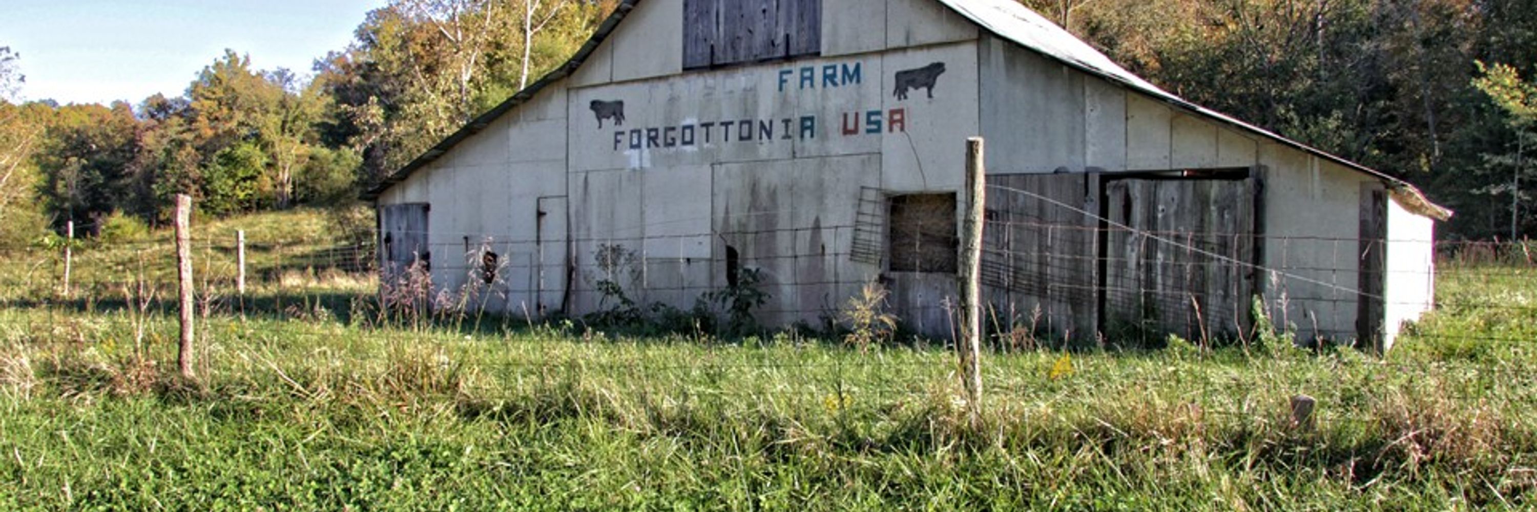 Forgottonia
