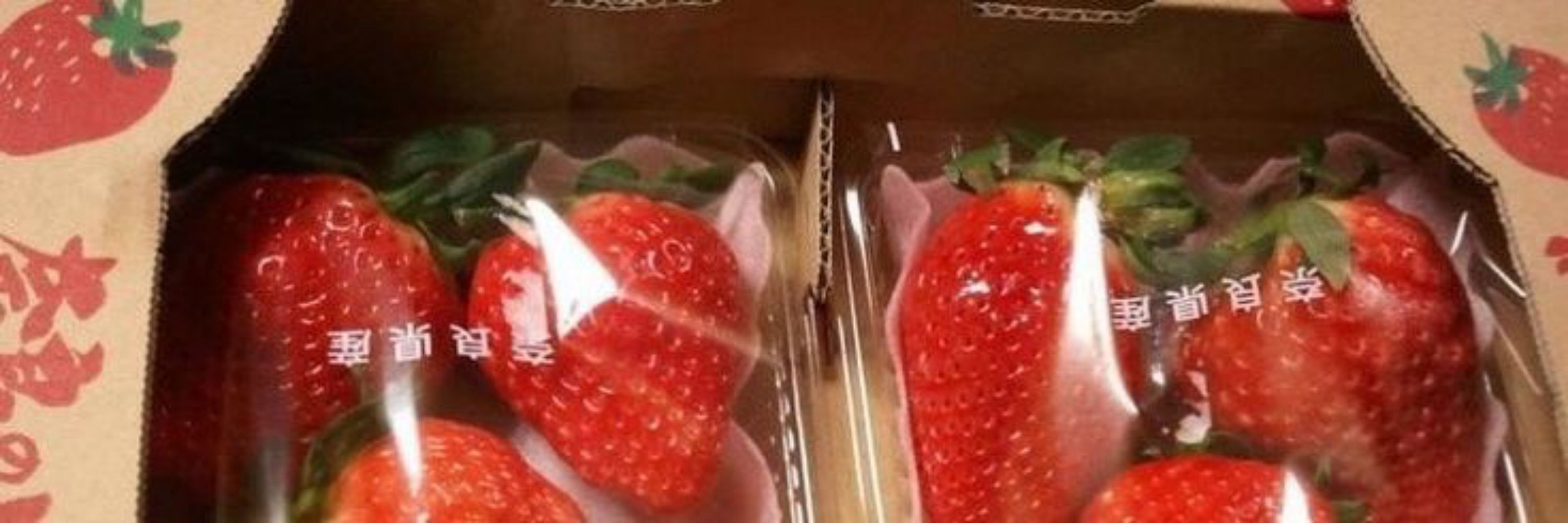 🍓 - The biggest Jin utted