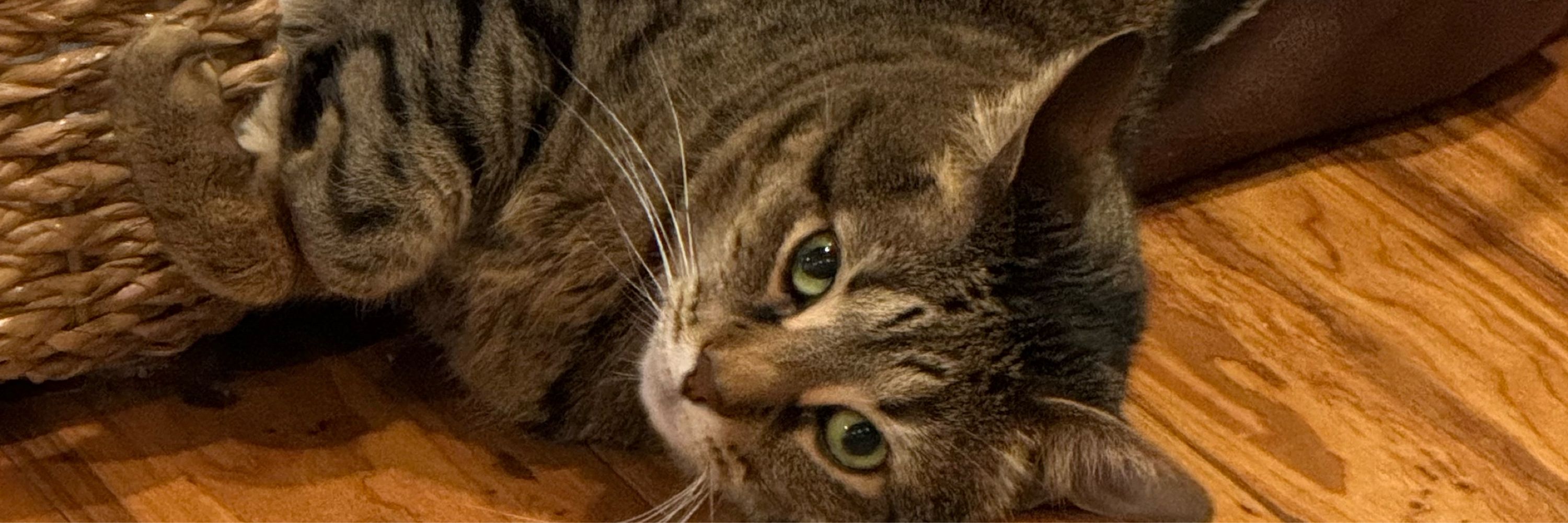 Sara