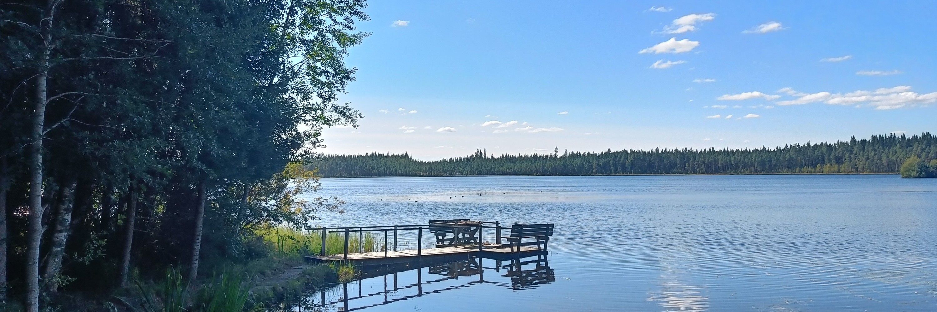 Arto Aspfors