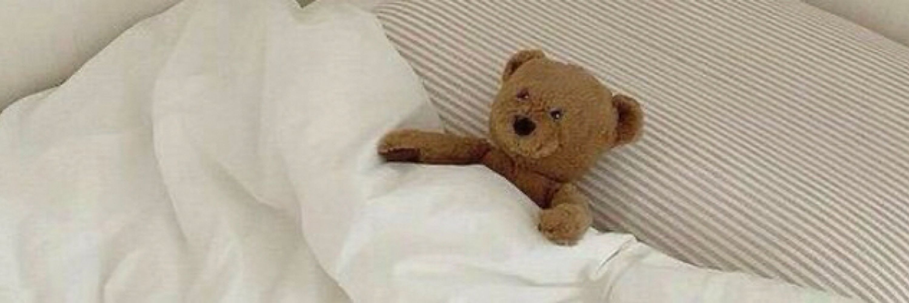kau🐻