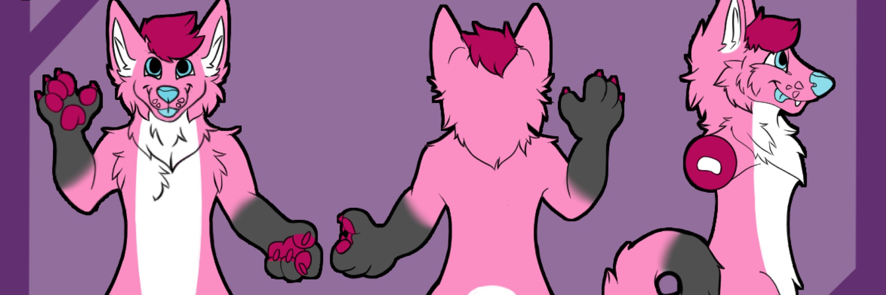 HOXThePupFox