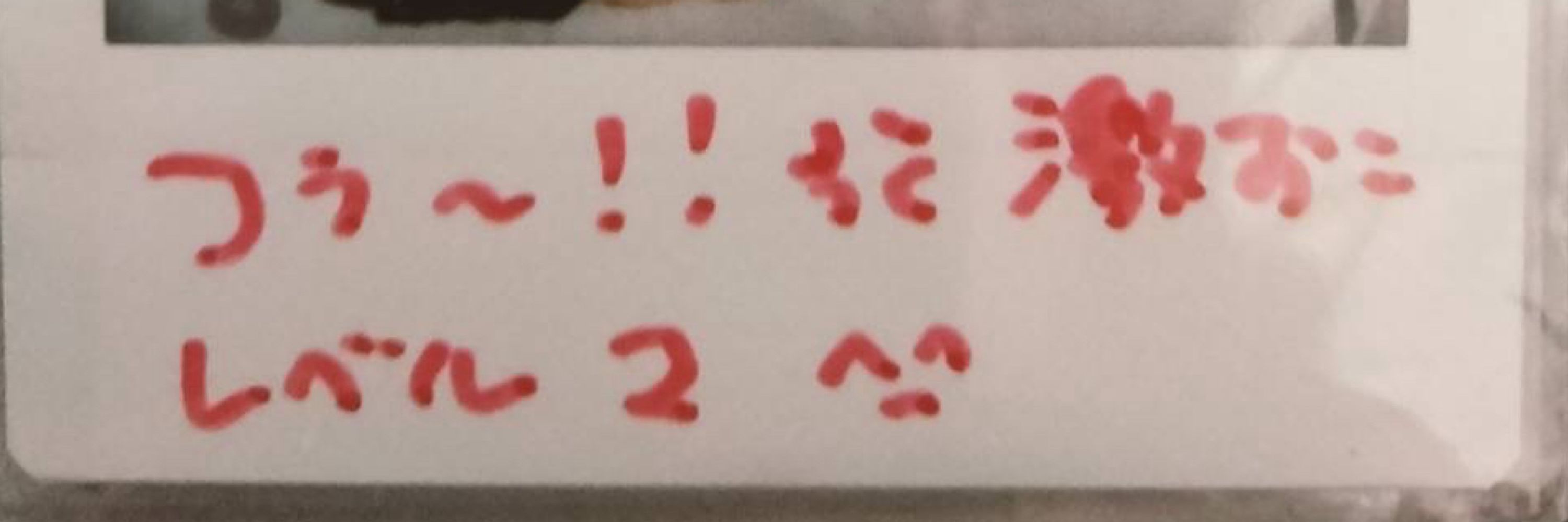 🐺よっしー໒꒱