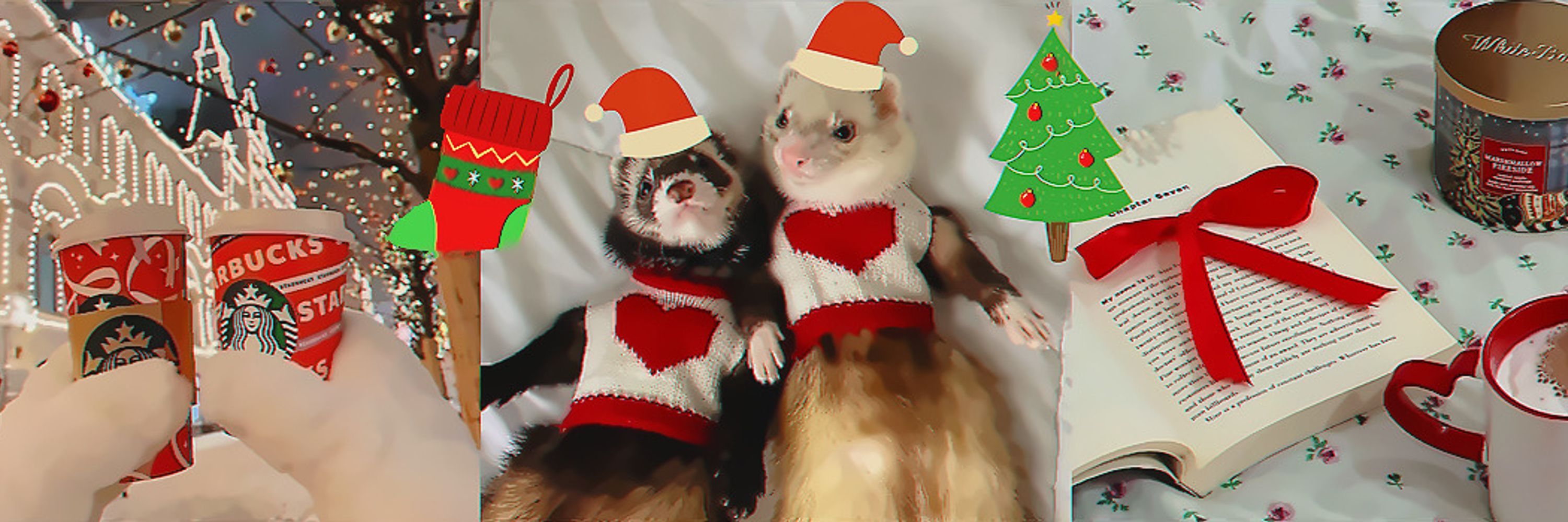 сюся !! 🎄