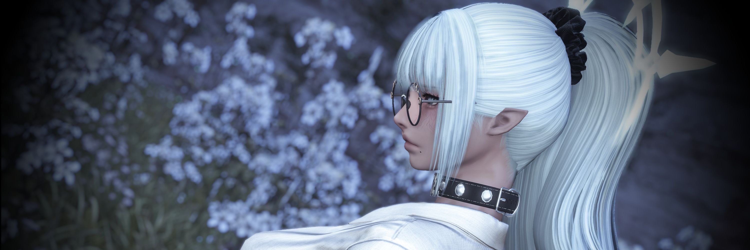 vani