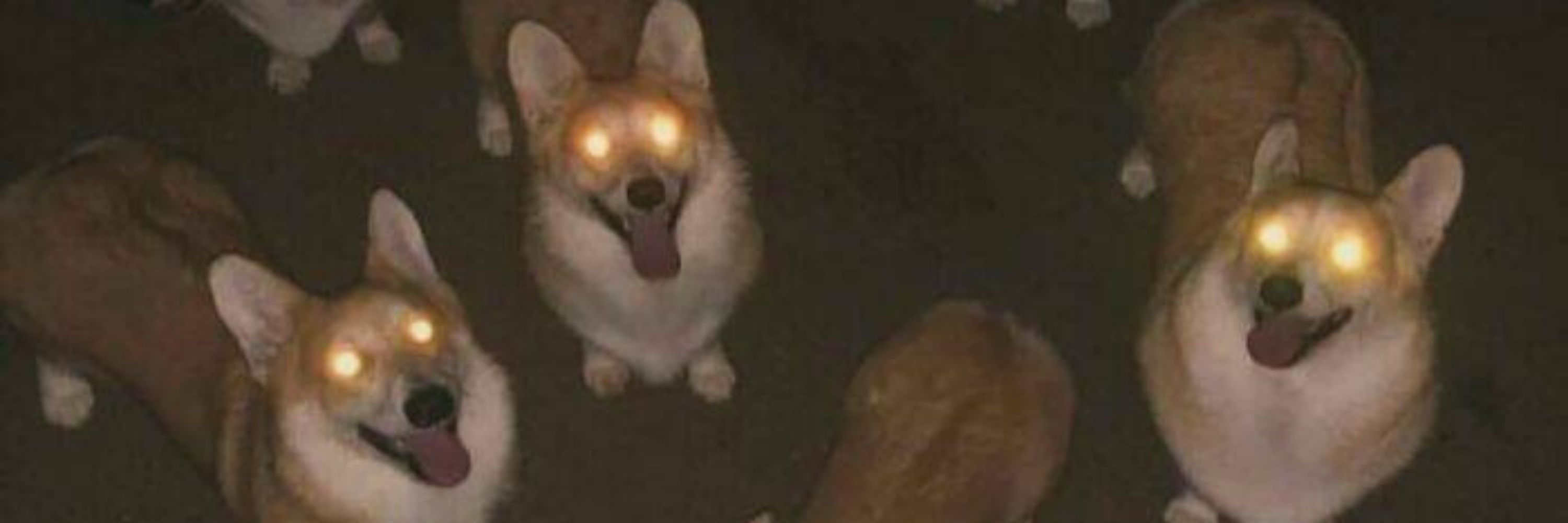 ⚡Roxy