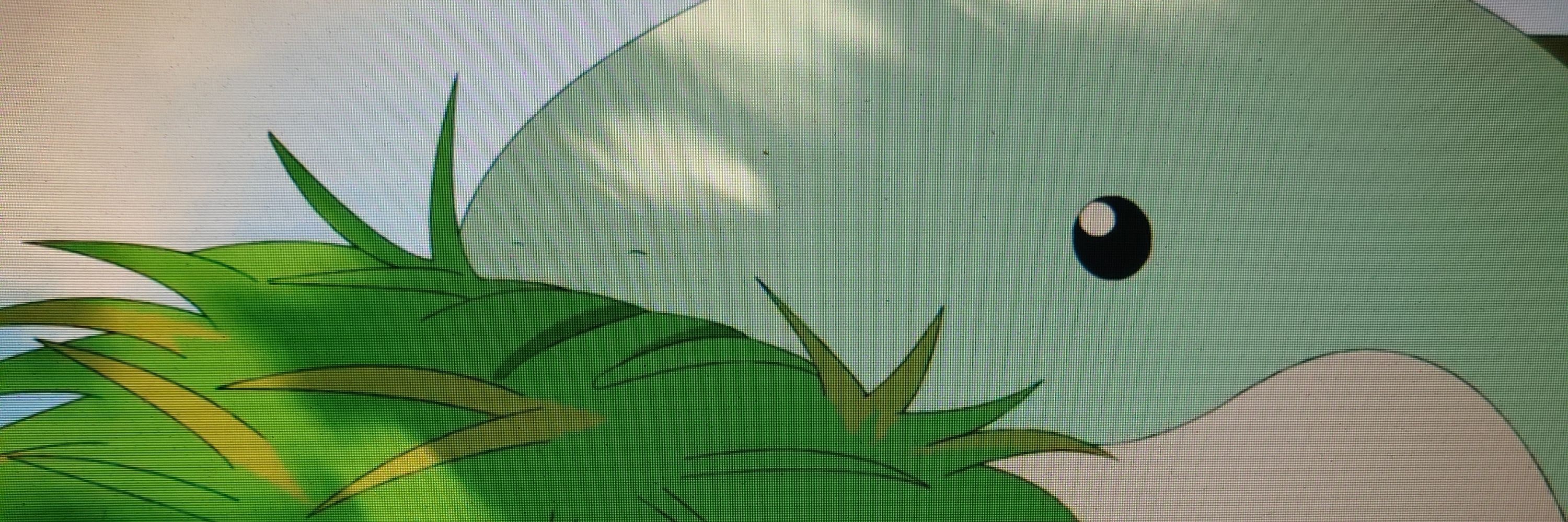 コスモス
