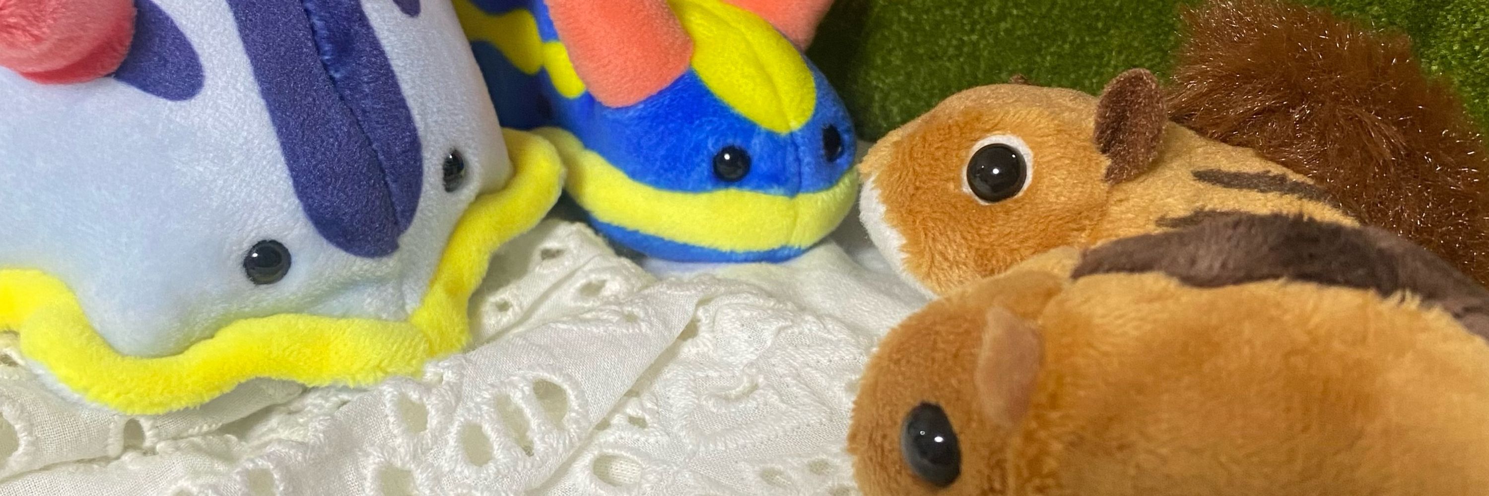 みゃこ