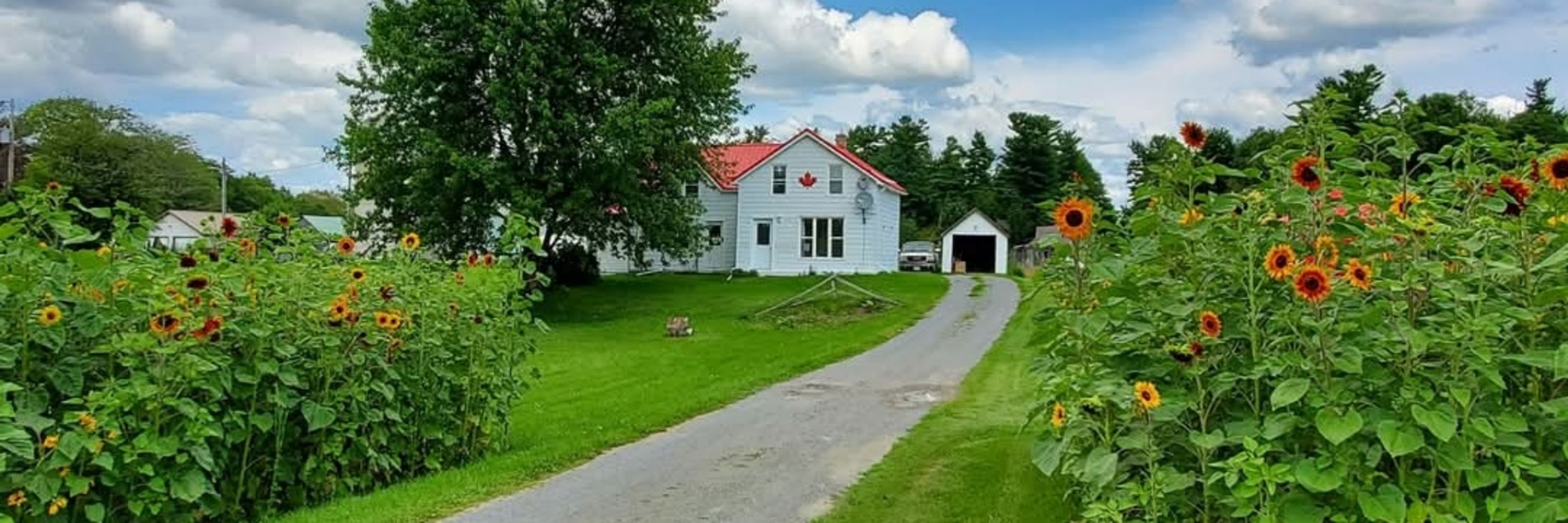 Sustainable Microfarm