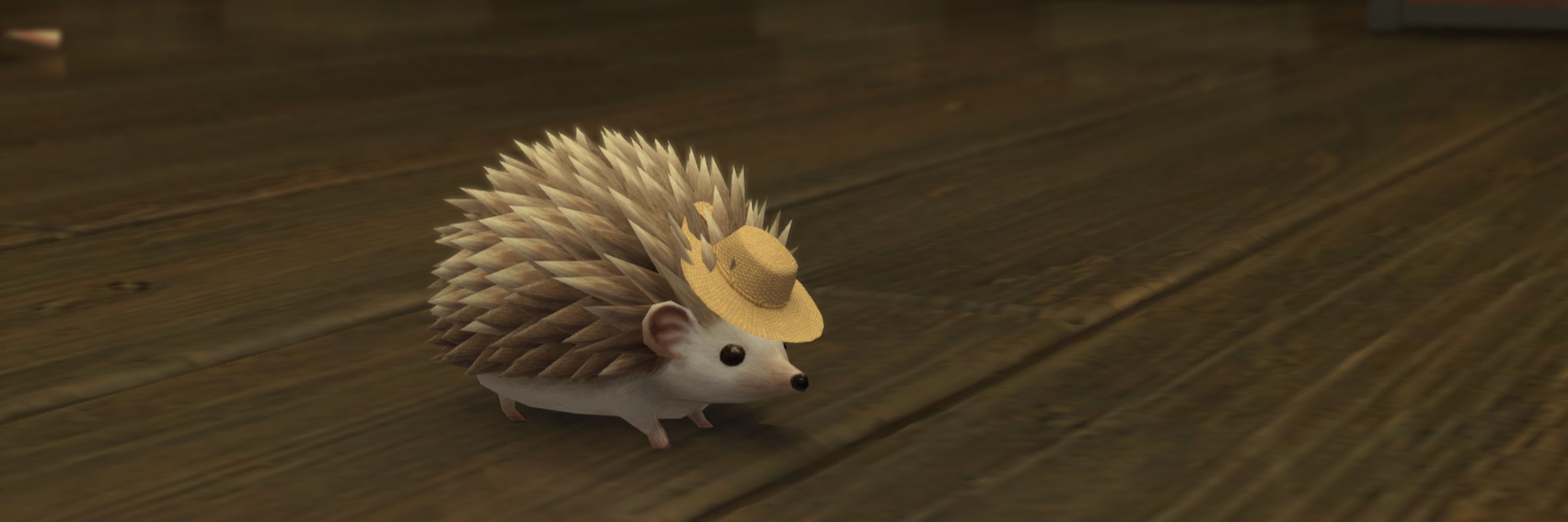 Kaz