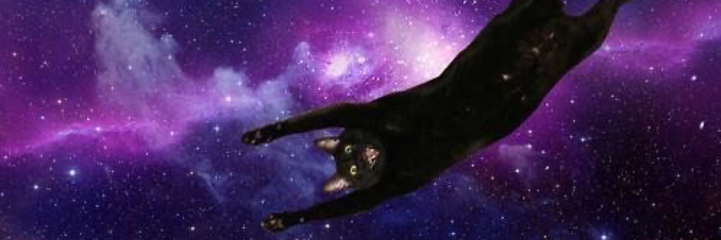 にゃっち🐈‍⬛⸒⸒⸒⸒