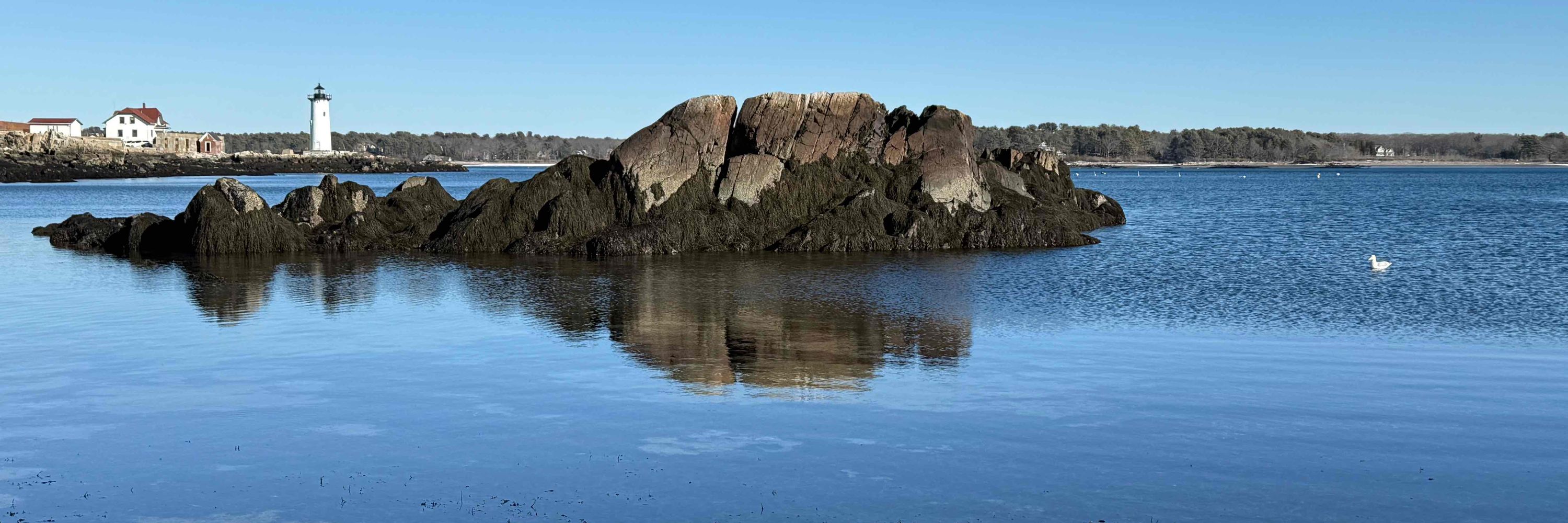 Oyster River Womenade
