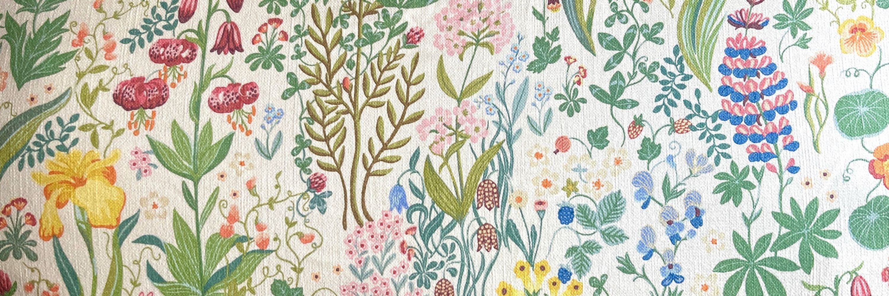 Claire Slingerland