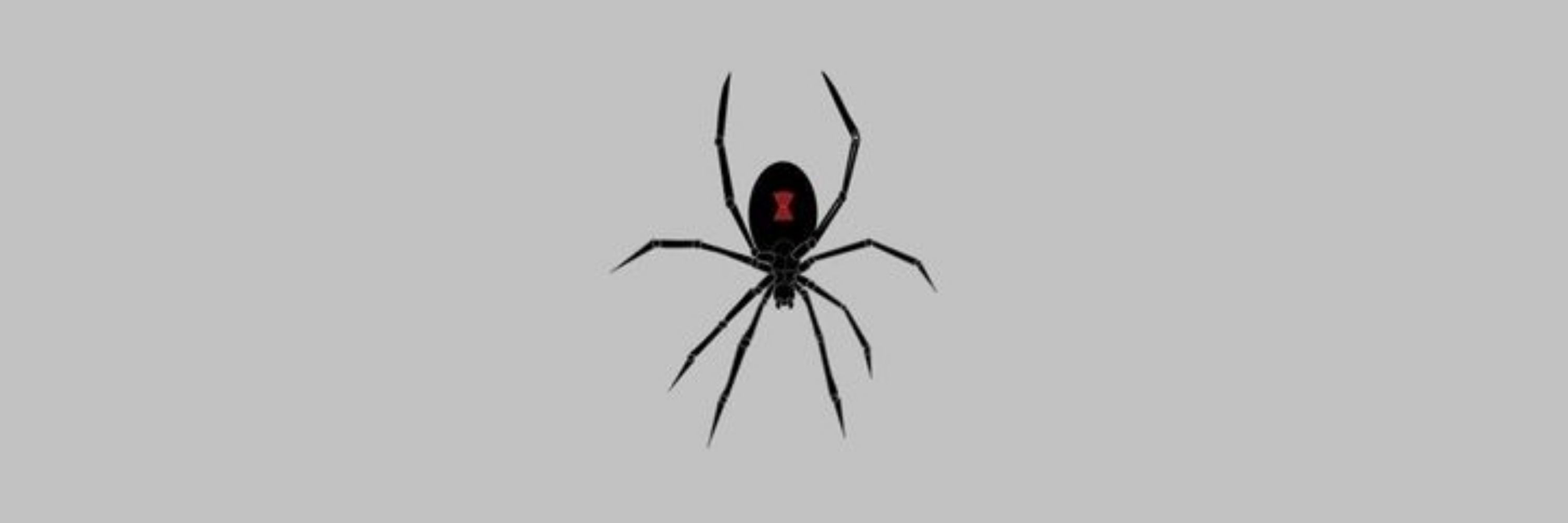 Ribeiro 🕷️
