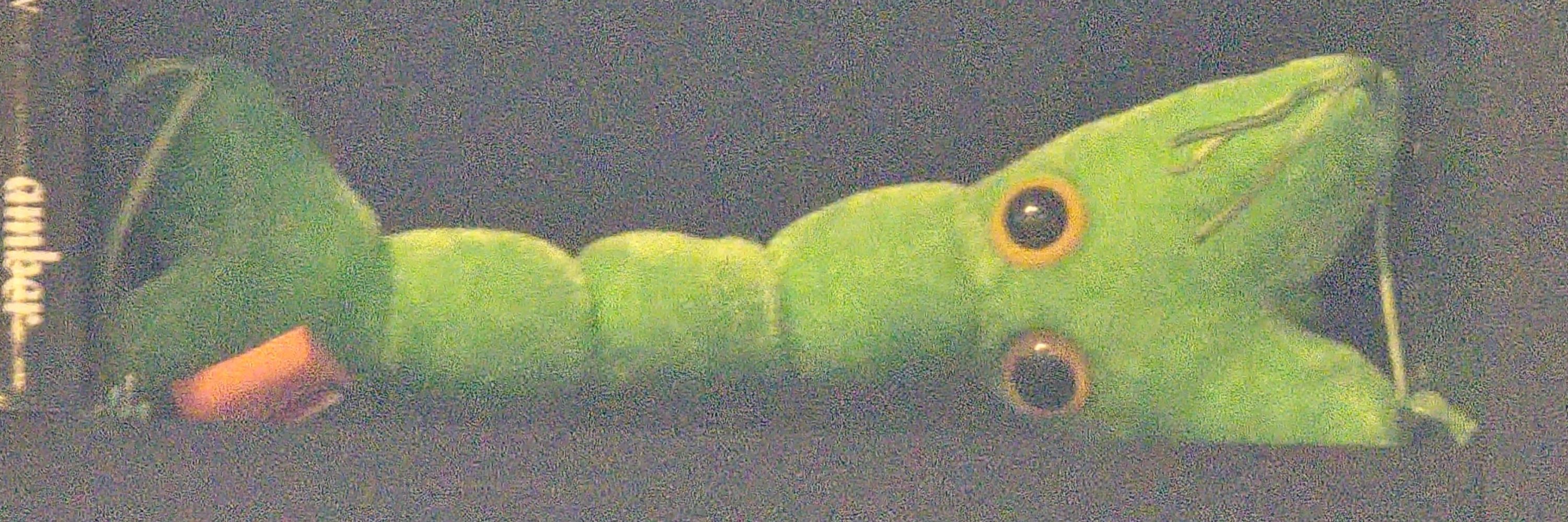 Dinatius