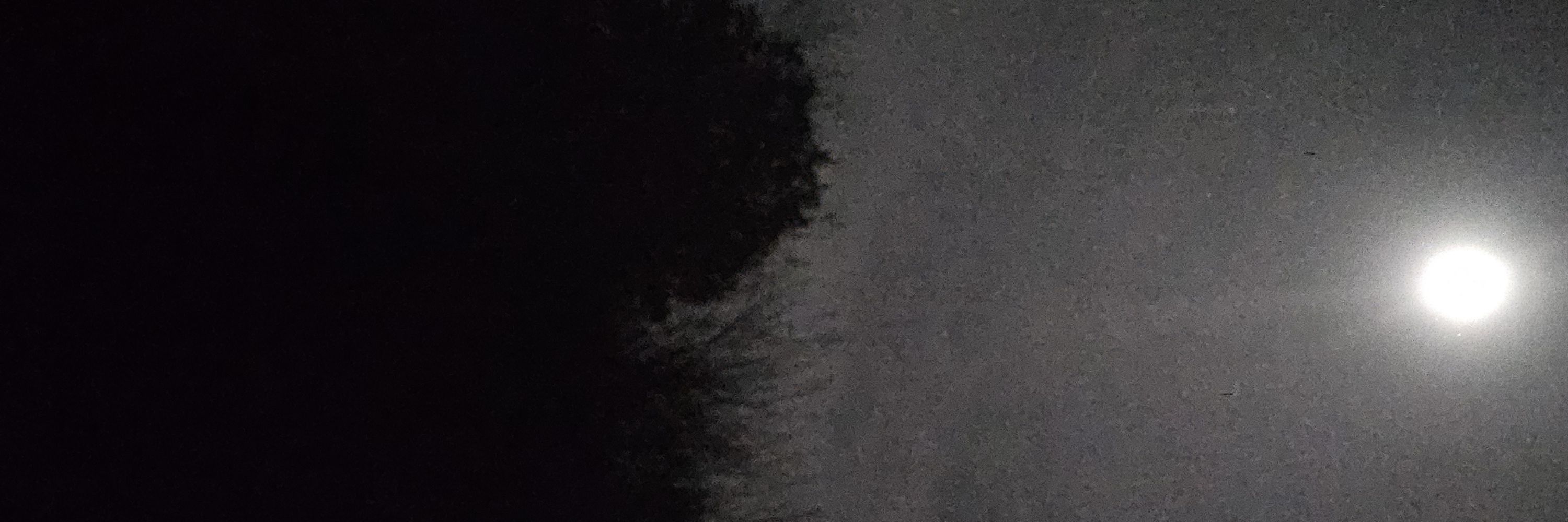 Blankspages