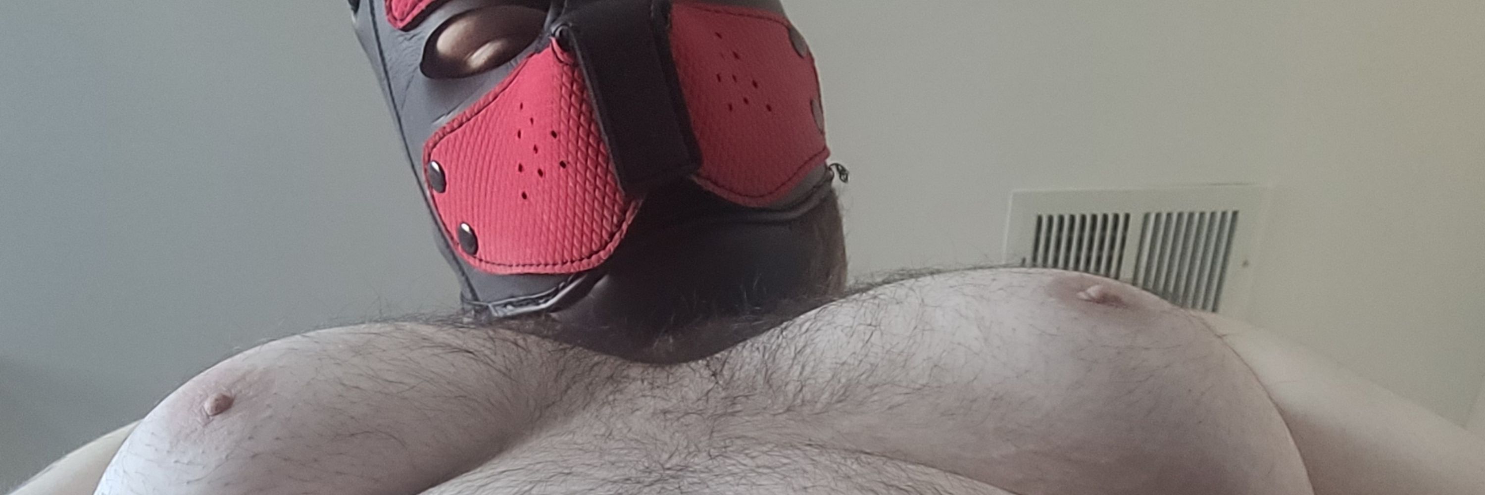 Pup Entropy