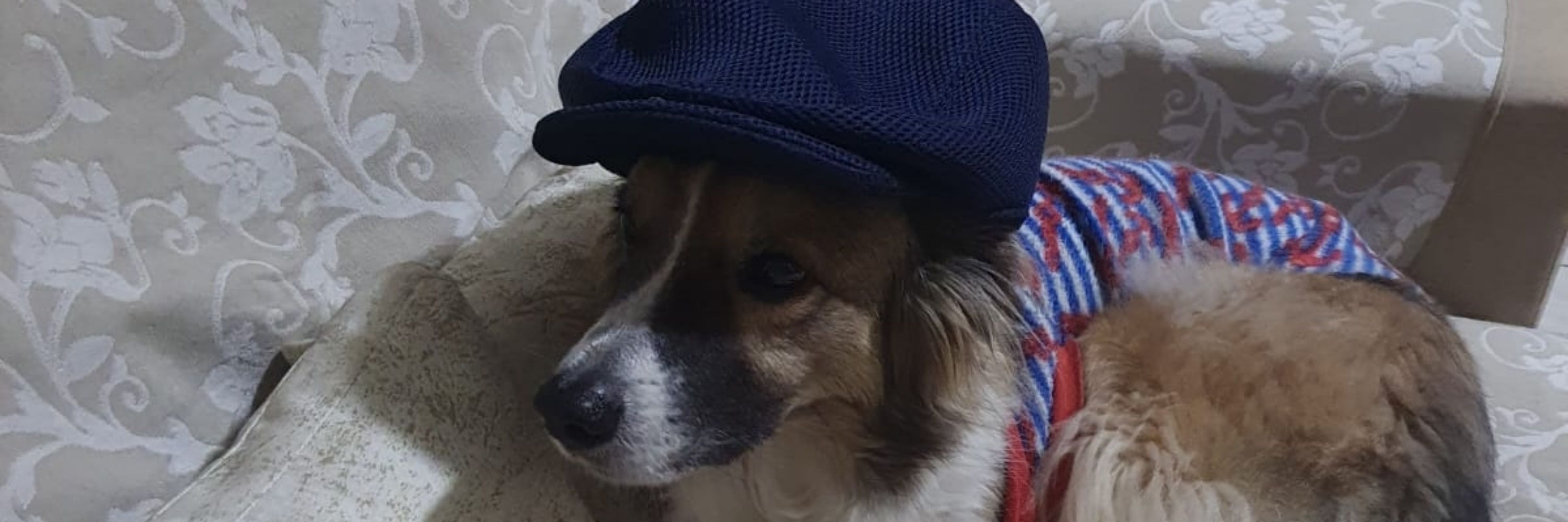 Léo