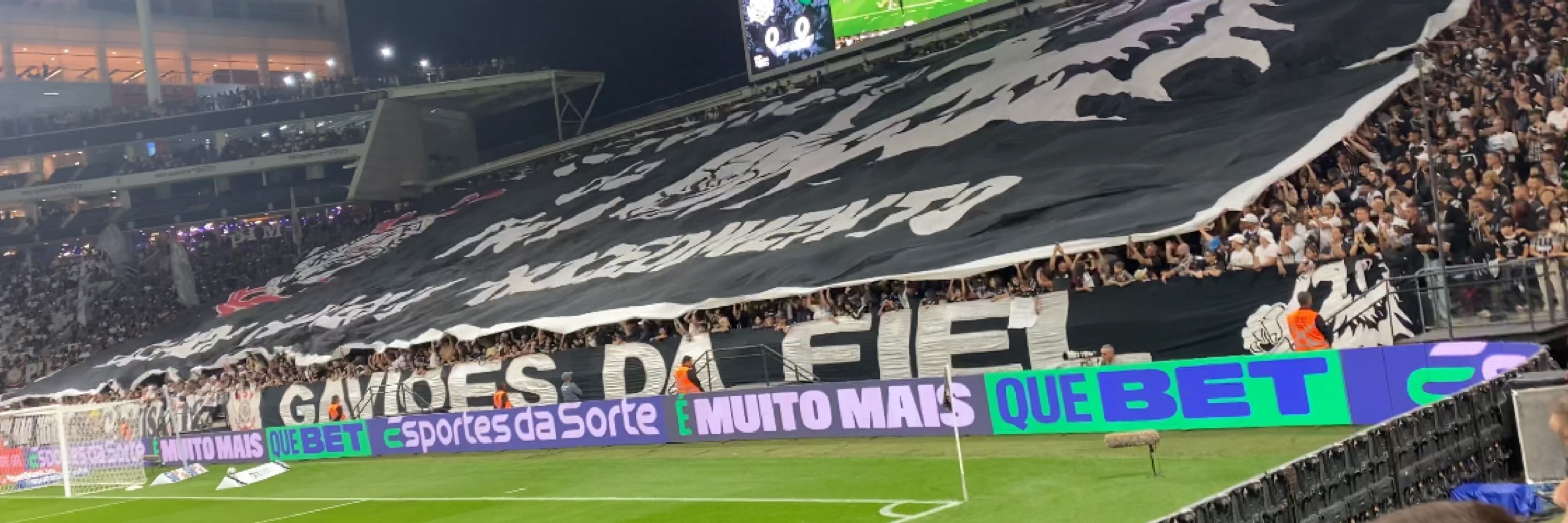 leo_mota10
