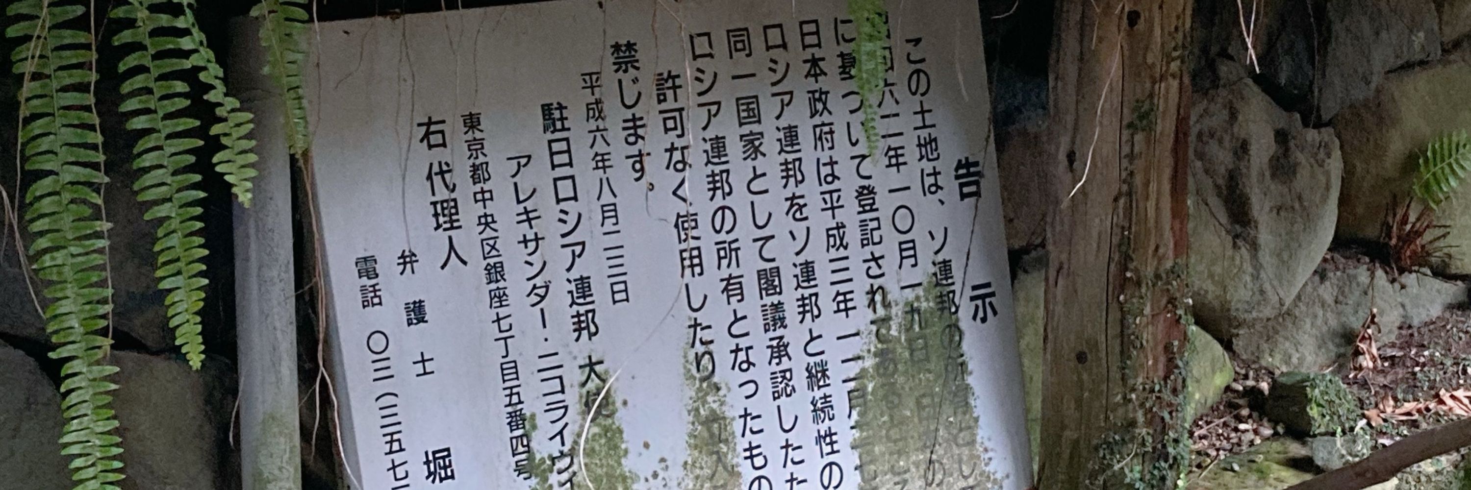 シボ