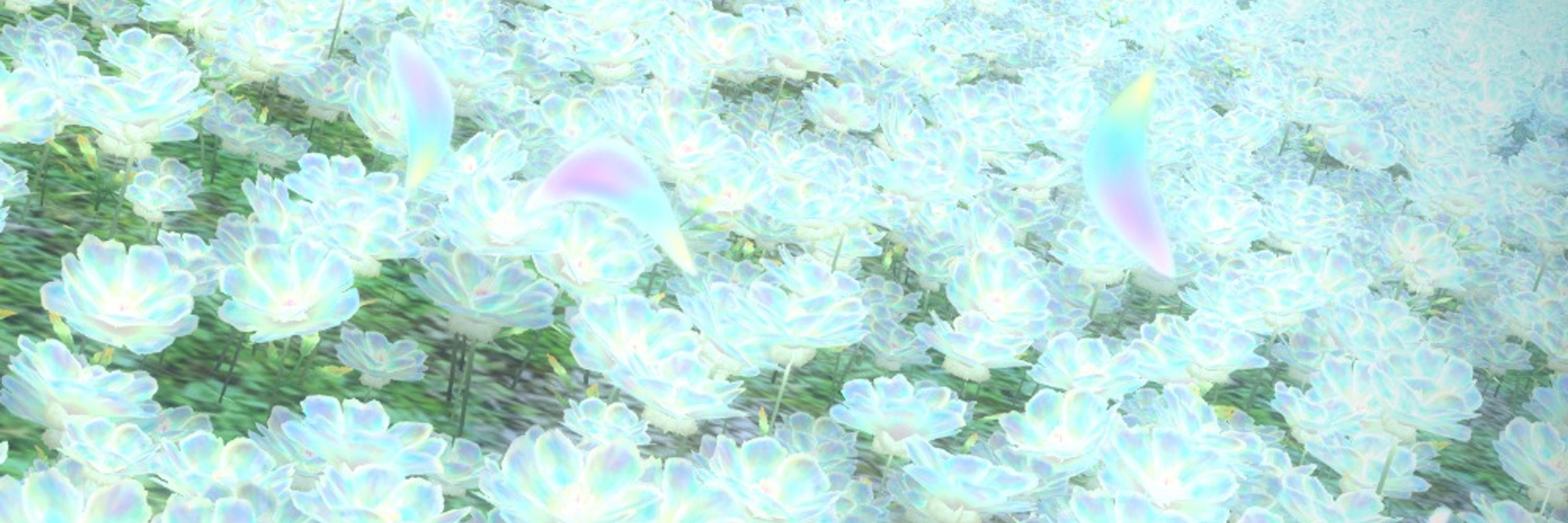 ぽよふぐ