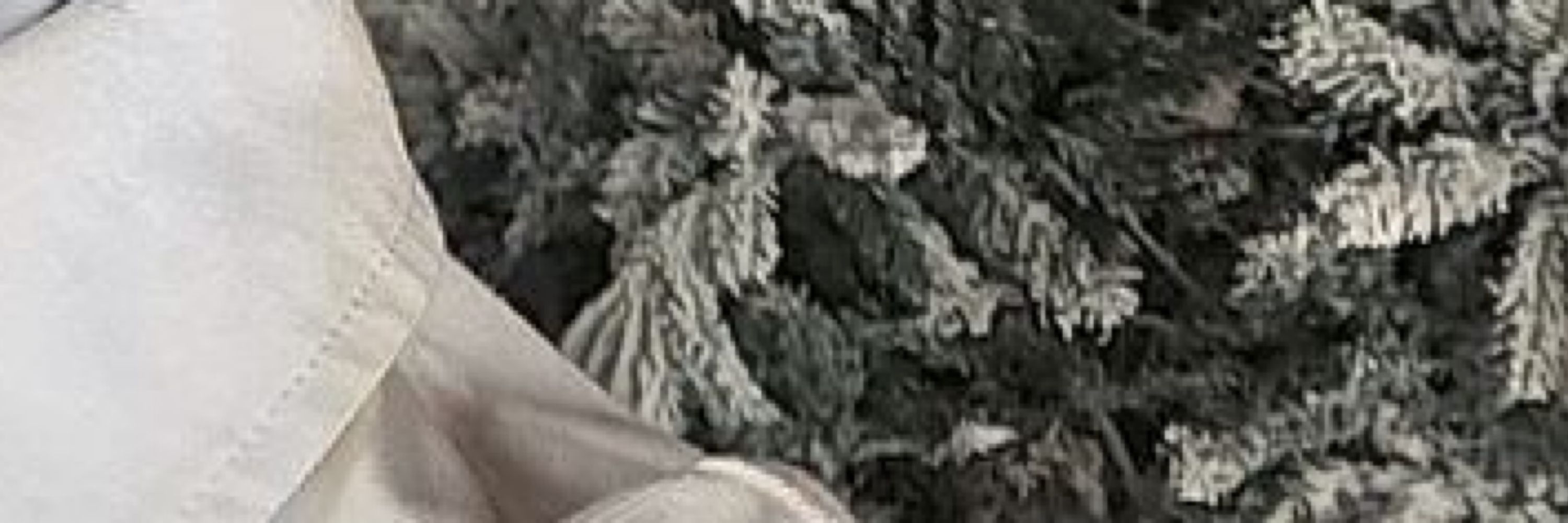 พพ