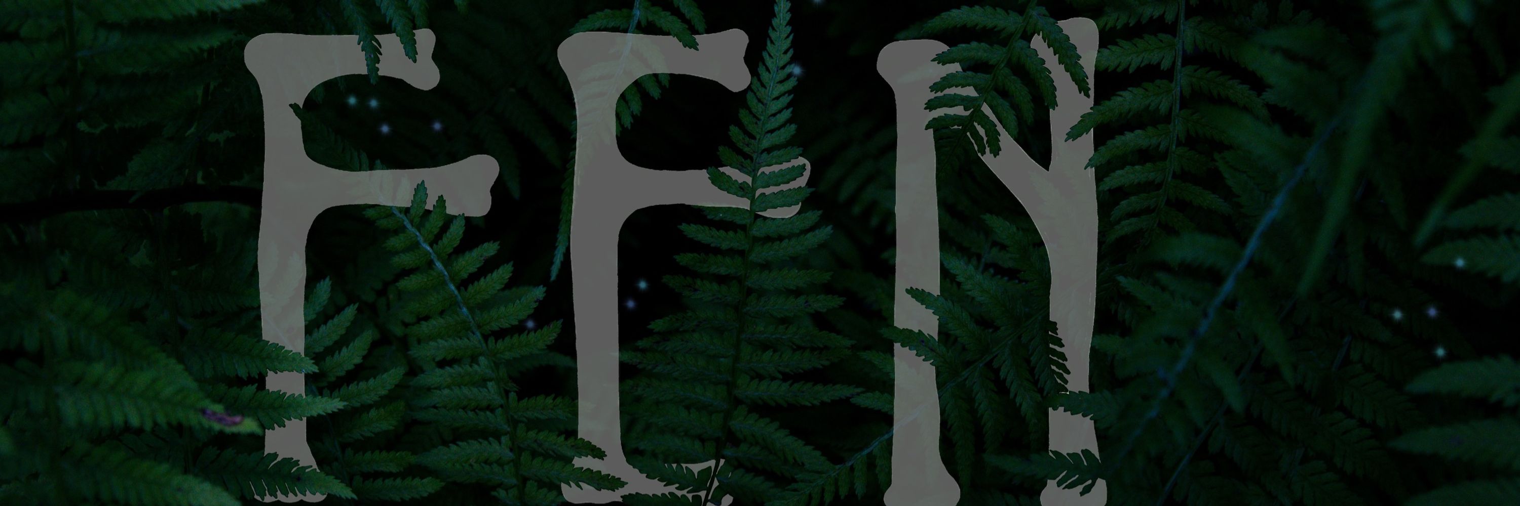 Fen Designs