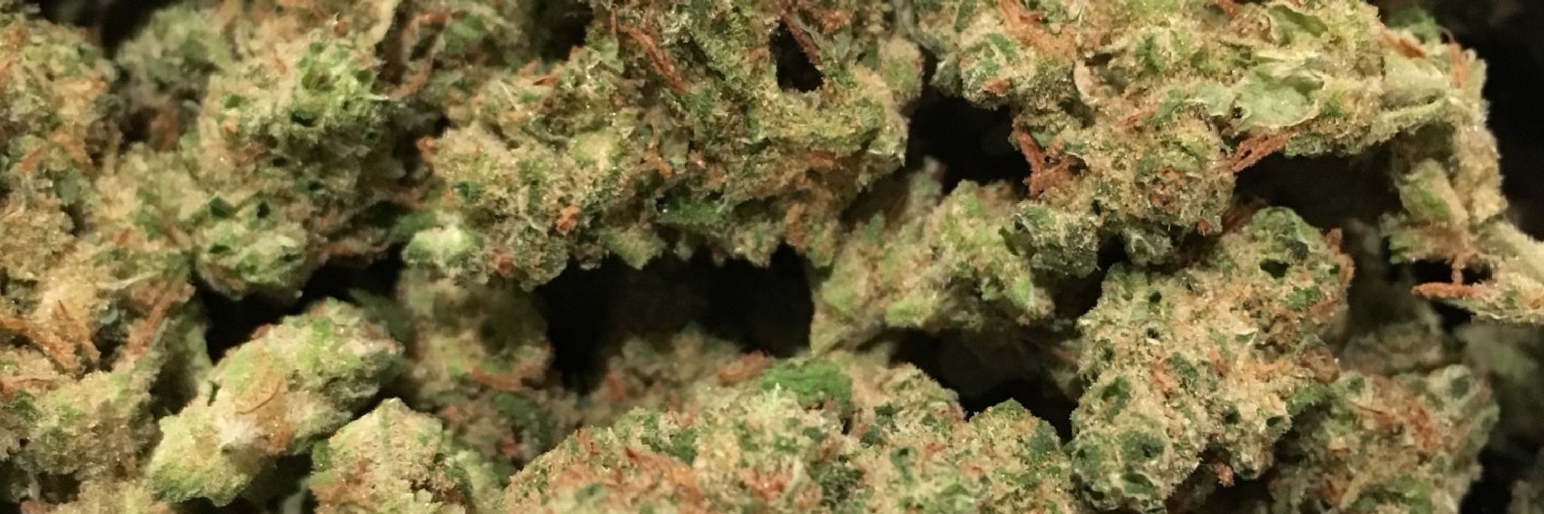 VapeTheBud