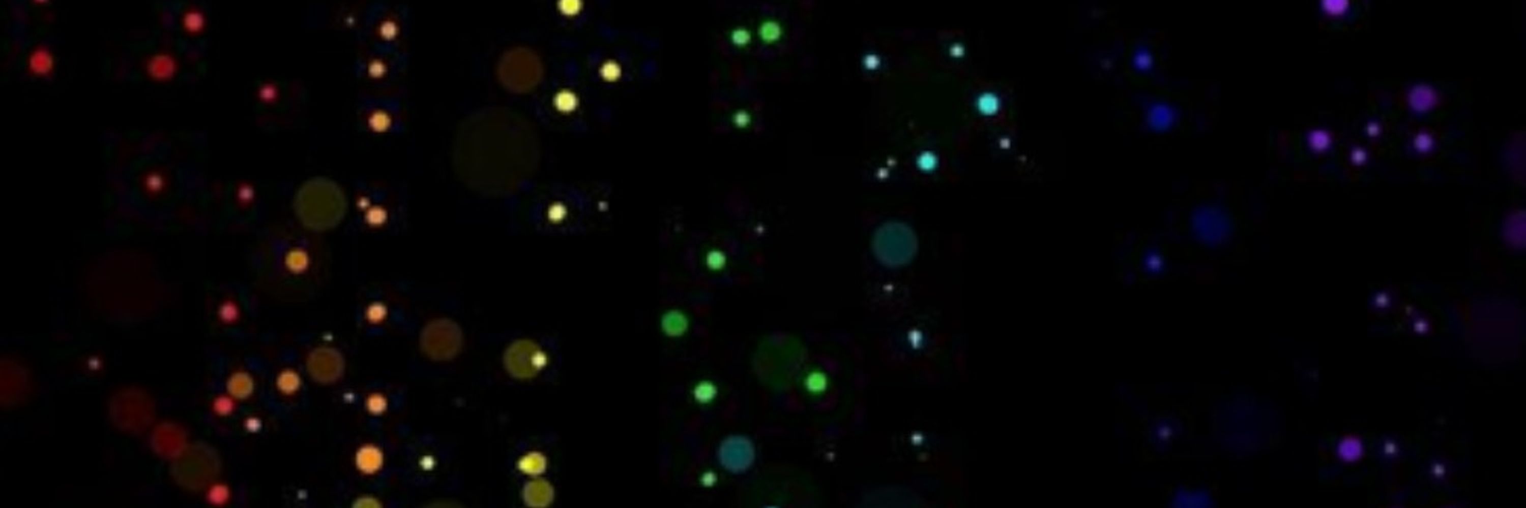 Starien