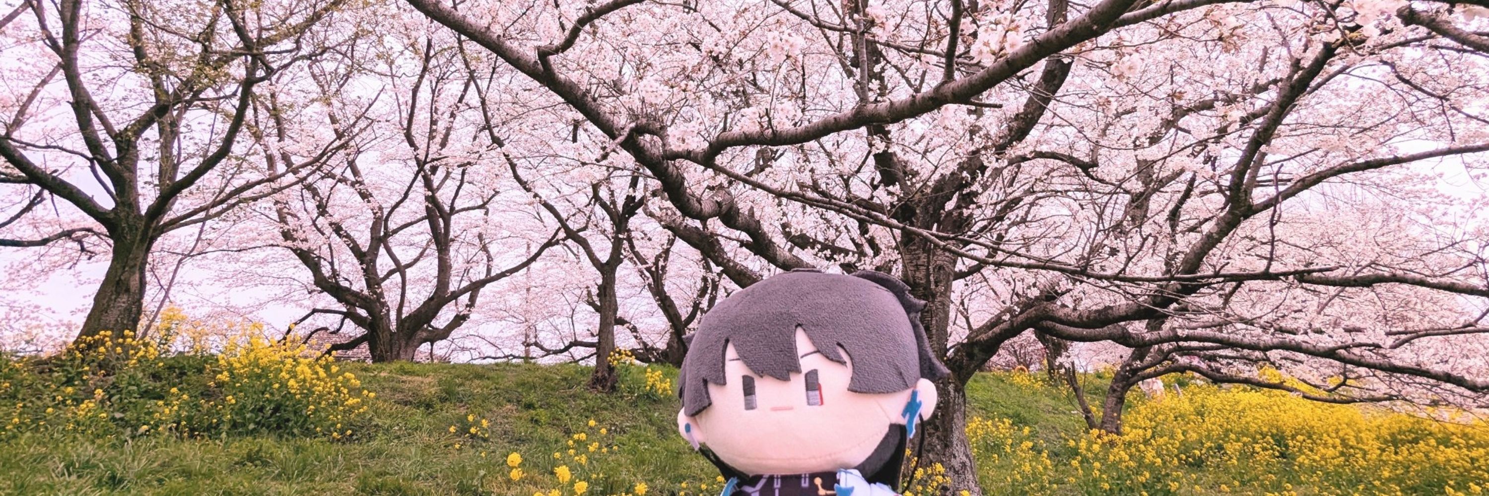 しおんヌ゙