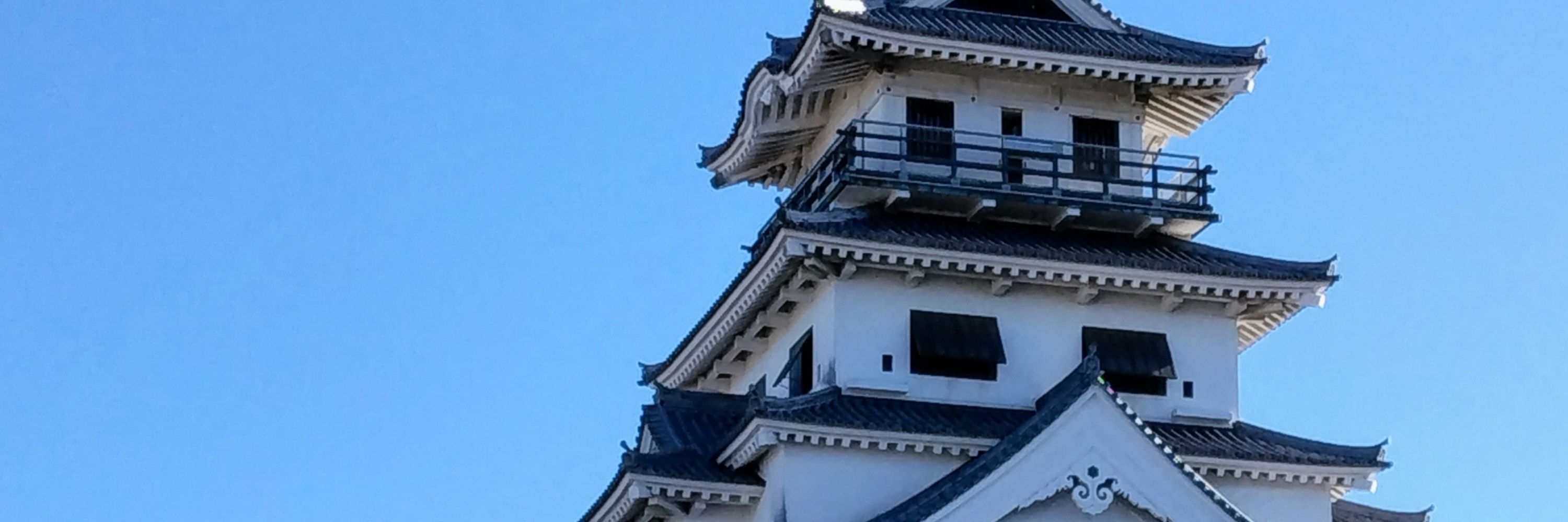 海野てん