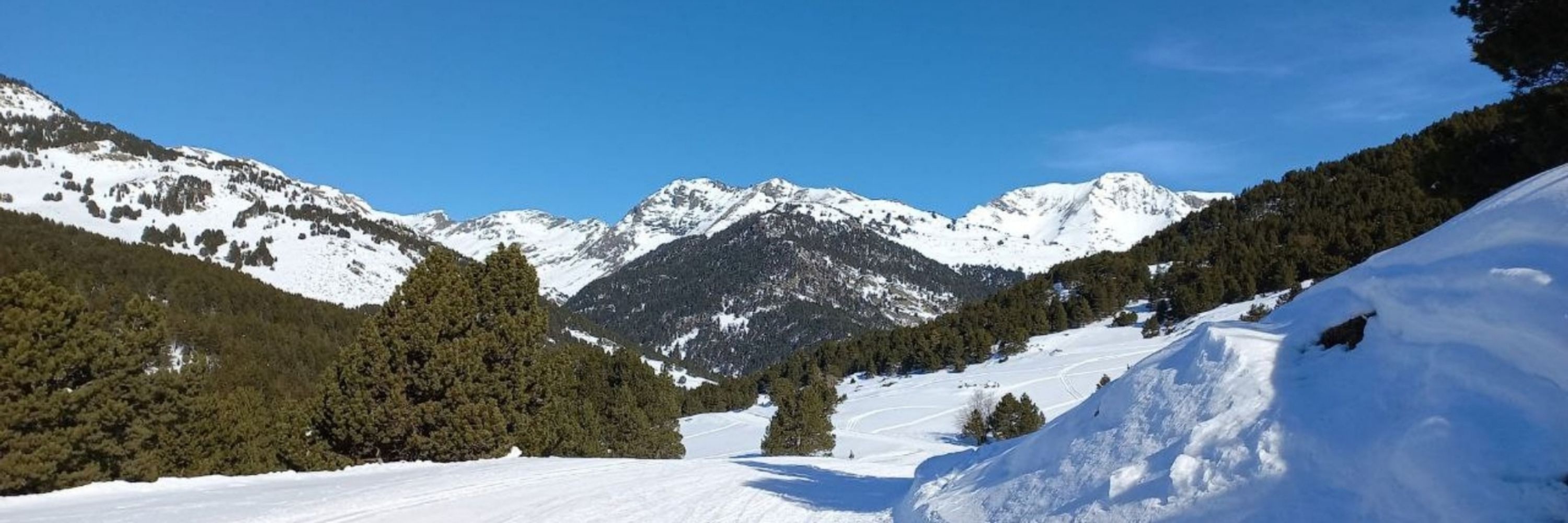 Domènec Espriu