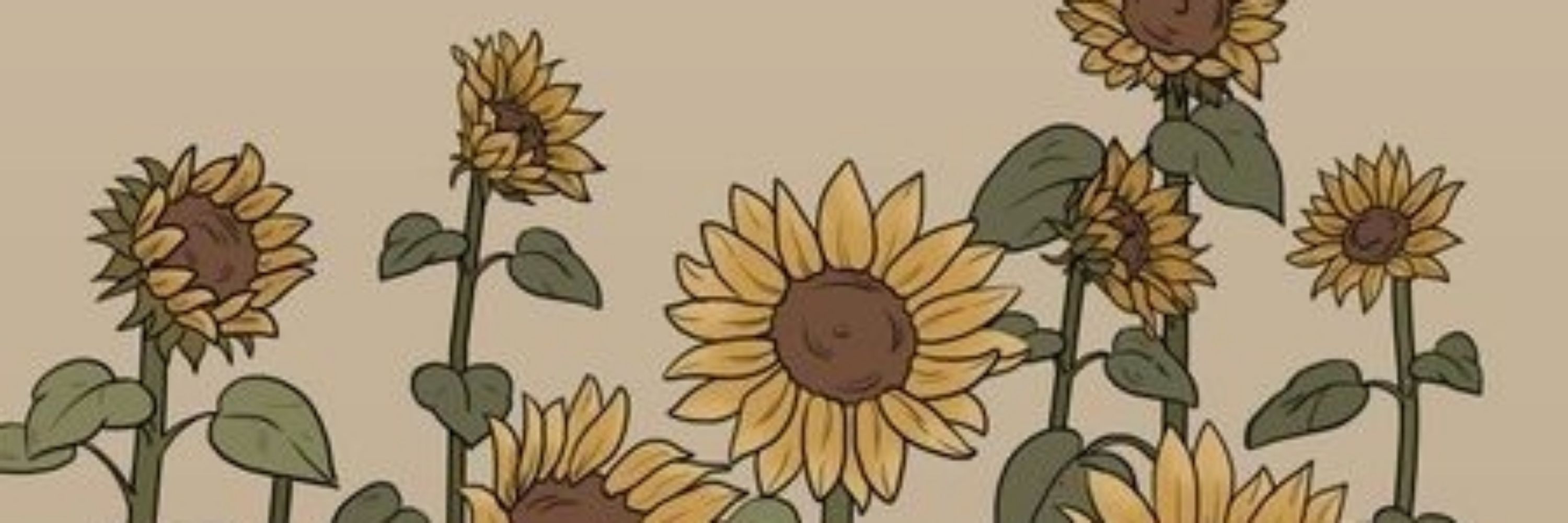 na🐻🌻🍉 || FB juseyo