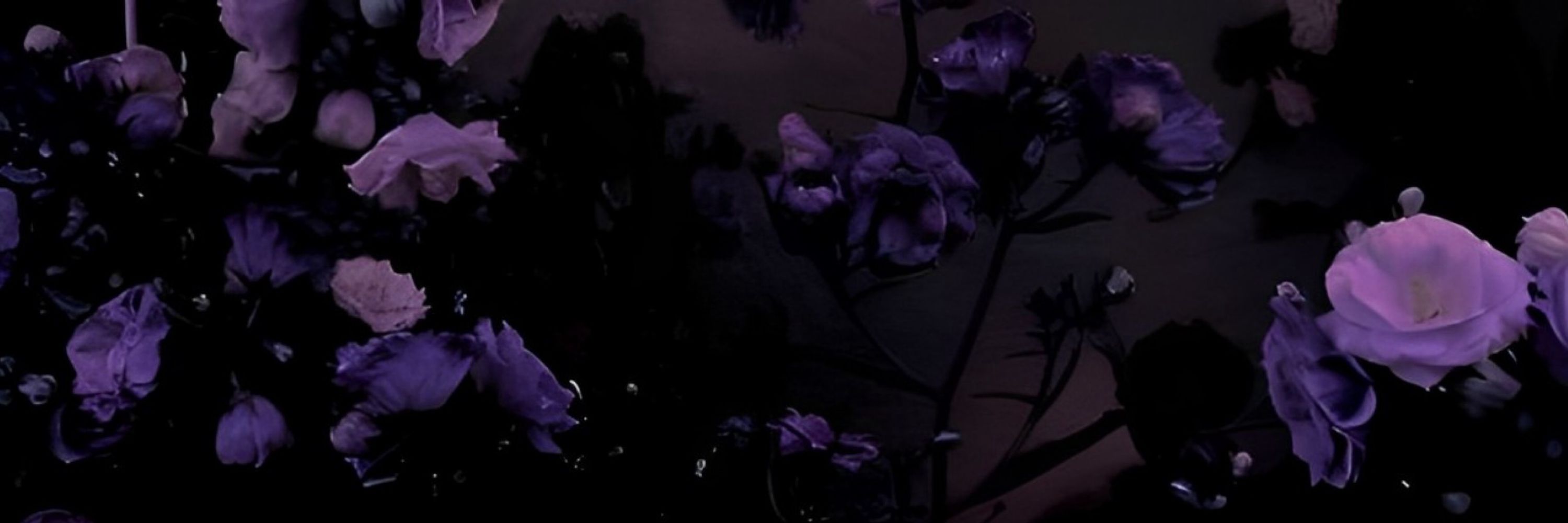 ❀⋆.ೃ࿔ 𝑨𝒃𝒊𝒈𝒂𝒊𝒍 𝑯𝒂𝒓𝒌𝒏𝒆𝒔𝒔