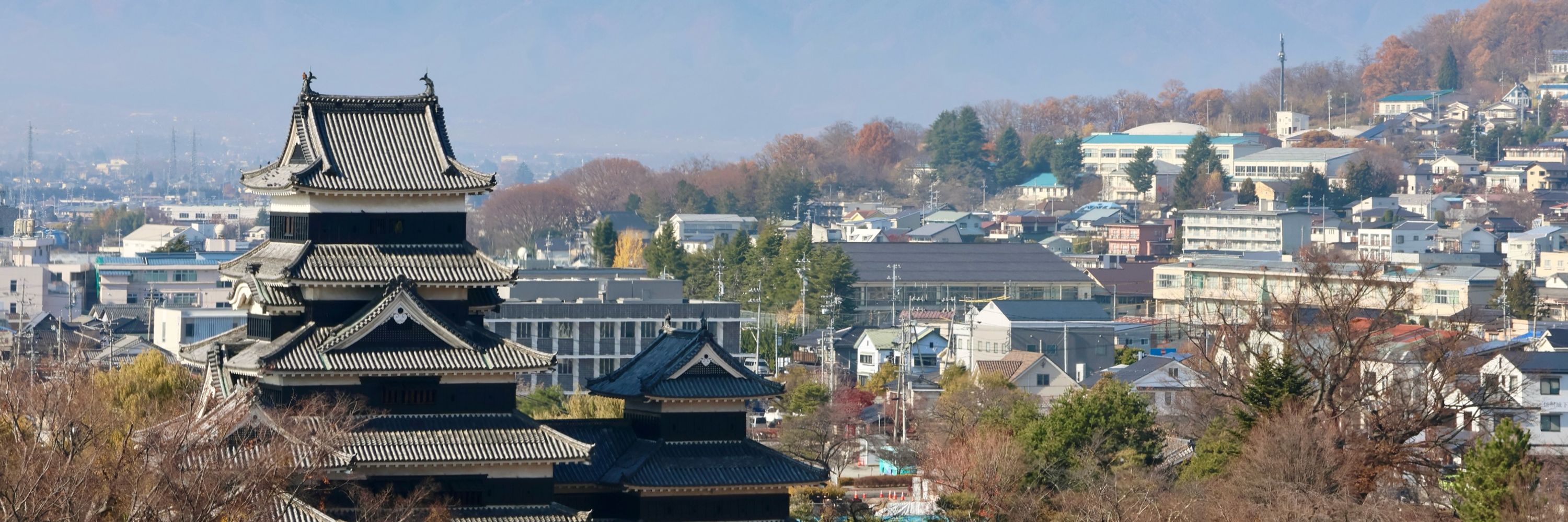 水上 桜