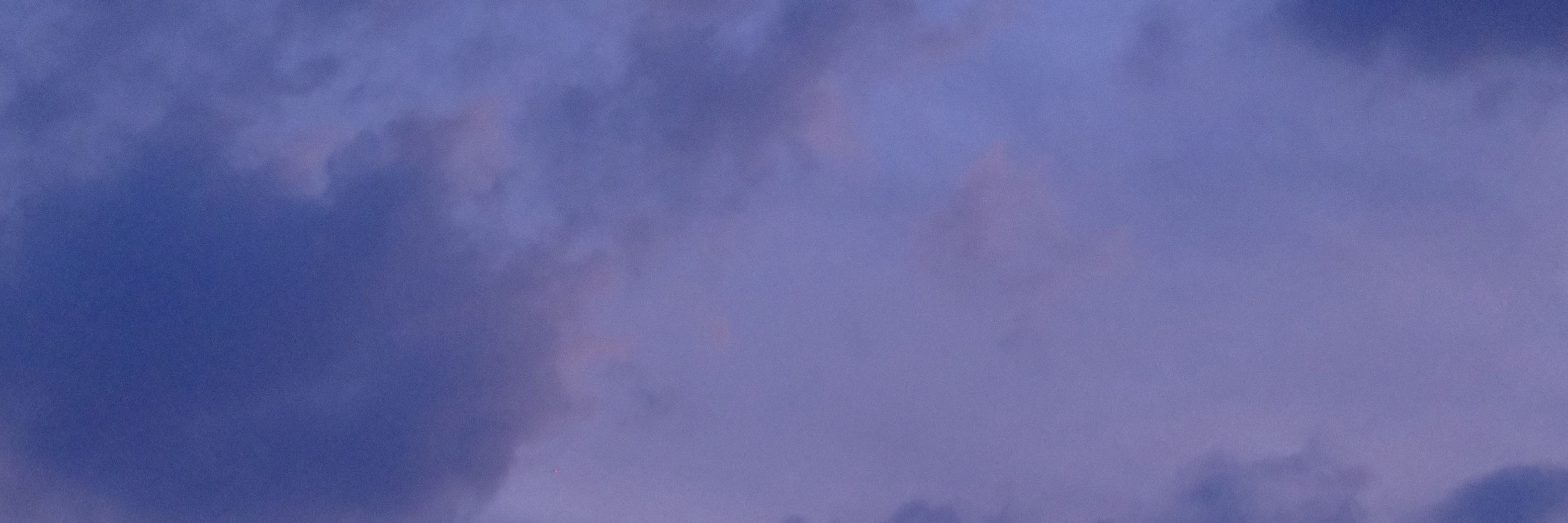 べたぬ