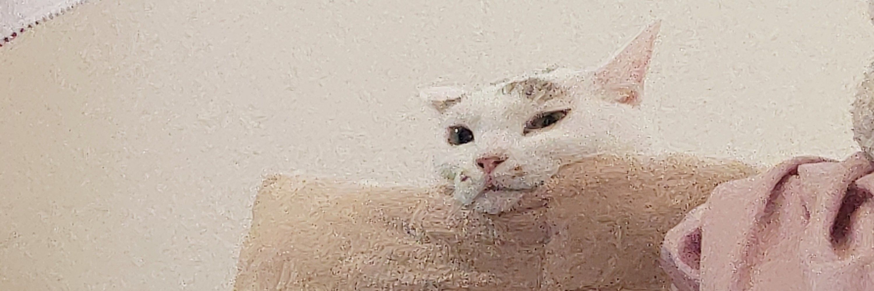 ろらろら